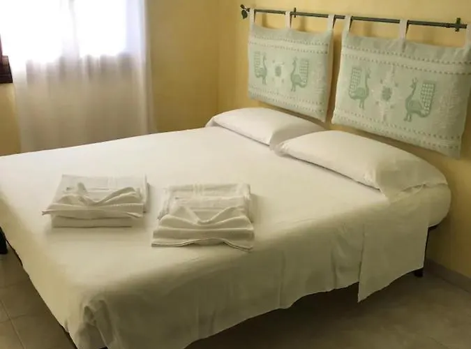 Nettuno 维拉西米乌斯