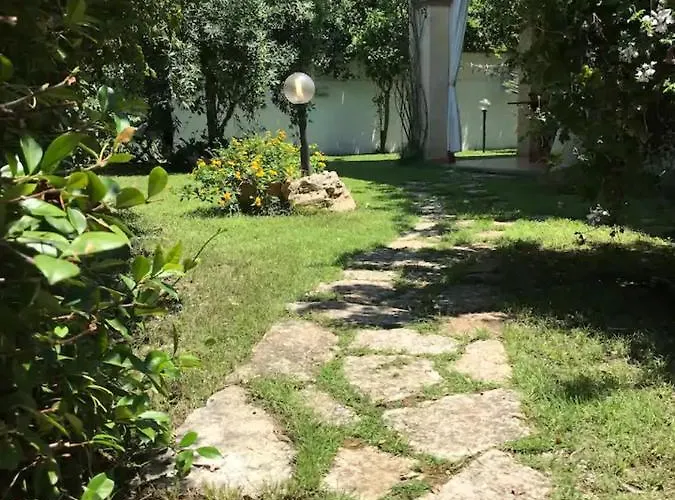 Nettuno 维拉西米乌斯